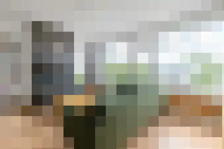 Brinnolaan 24 Voorburg thumbnail 13