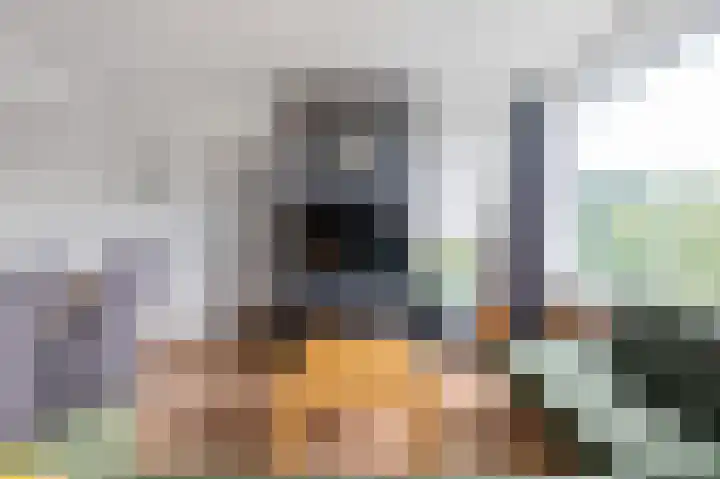 Brinnolaan 24 Voorburg thumbnail 15