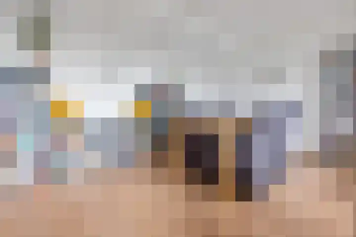 Brinnolaan 24 Voorburg thumbnail 21