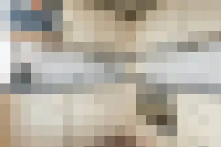 Brinnolaan 24 Voorburg thumbnail 22
