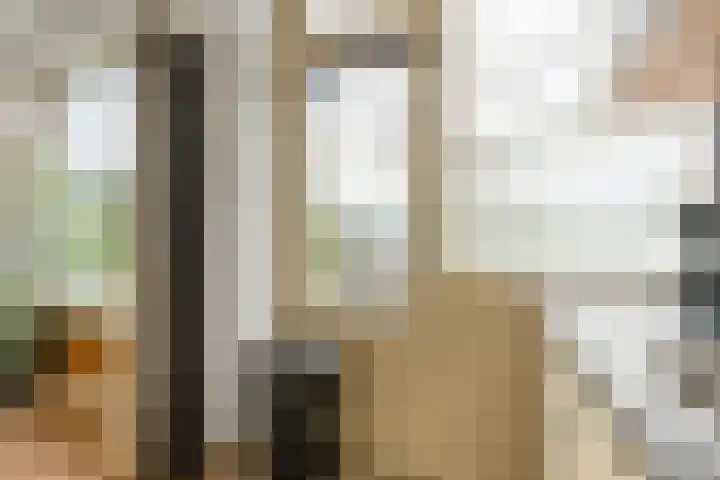 Brinnolaan 24 Voorburg thumbnail 24