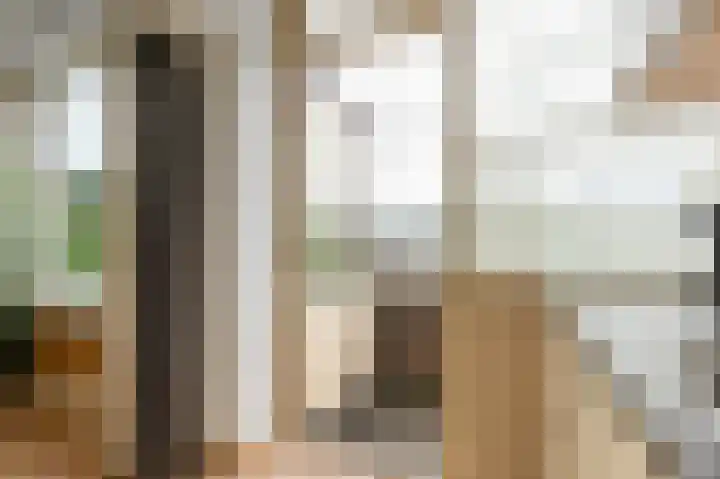 Brinnolaan 24 Voorburg thumbnail 25