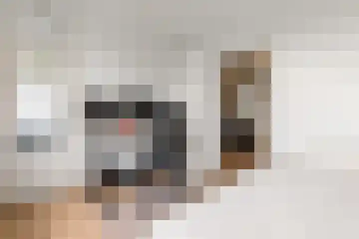 Brinnolaan 24 Voorburg thumbnail 32