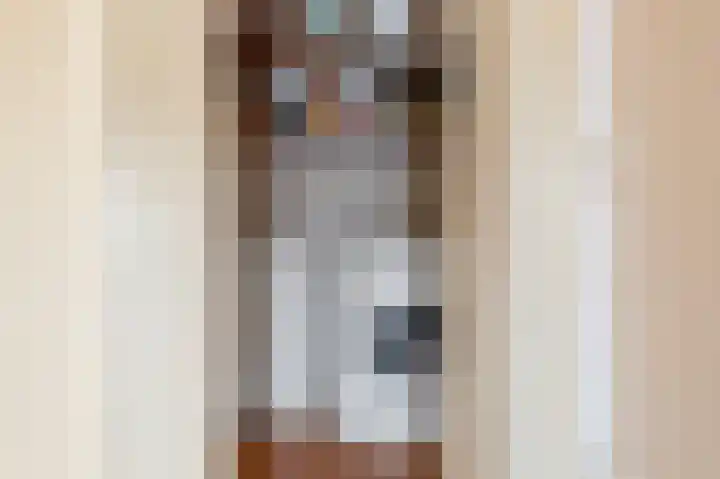 Brinnolaan 24 Voorburg thumbnail 35