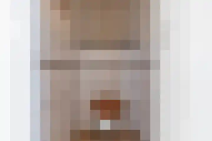 Brinnolaan 24 Voorburg thumbnail 36