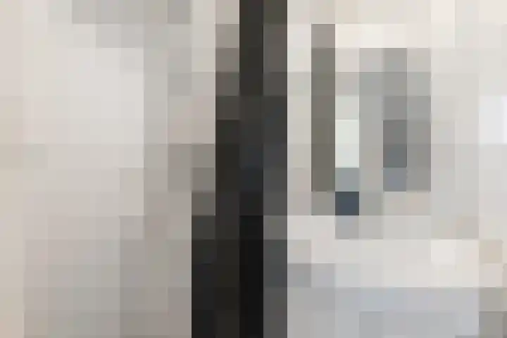 Brinnolaan 24 Voorburg thumbnail 37
