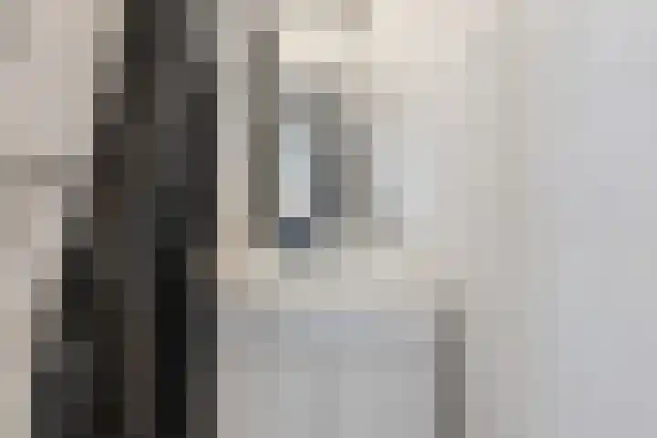 Brinnolaan 24 Voorburg thumbnail 38