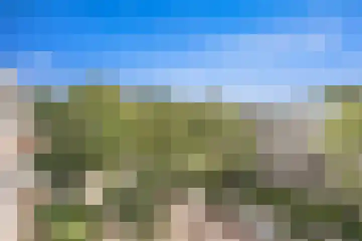 Brinnolaan 24 Voorburg thumbnail 4