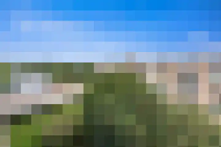 Brinnolaan 24 Voorburg thumbnail 40