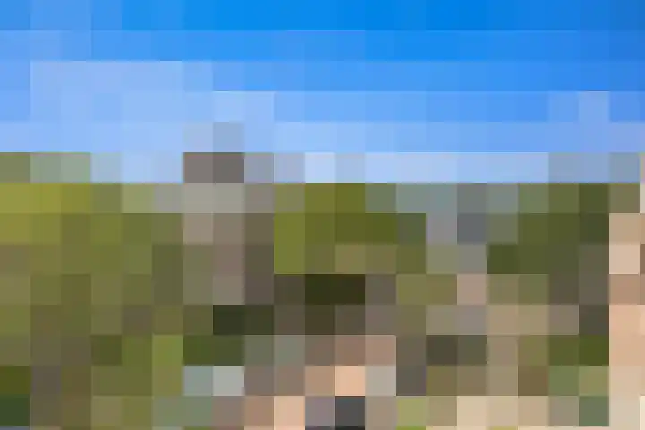 Brinnolaan 24 Voorburg thumbnail 5