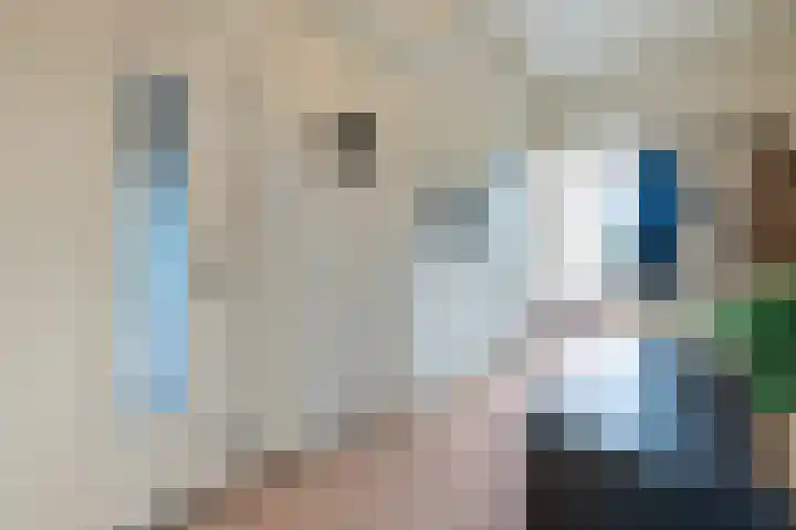 Brinnolaan 24 Voorburg thumbnail 7