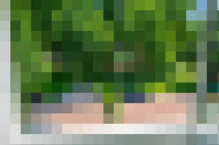 Brinnolaan 5 Voorburg thumbnail 13
