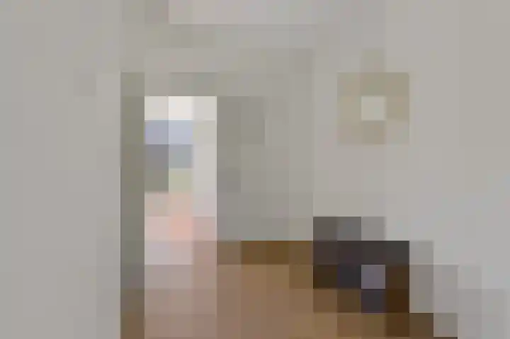 Brinnolaan 5 Voorburg thumbnail 15