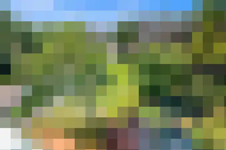 Brinnolaan 5 Voorburg thumbnail 24