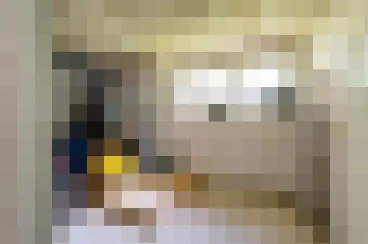 Brinnolaan 5 Voorburg thumbnail 25