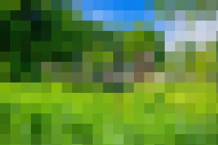 Brinnolaan 5 Voorburg thumbnail 27