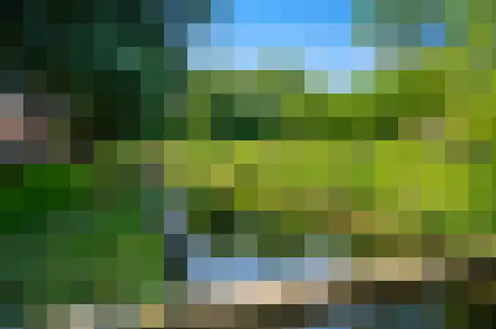 Brinnolaan 5 Voorburg thumbnail 29