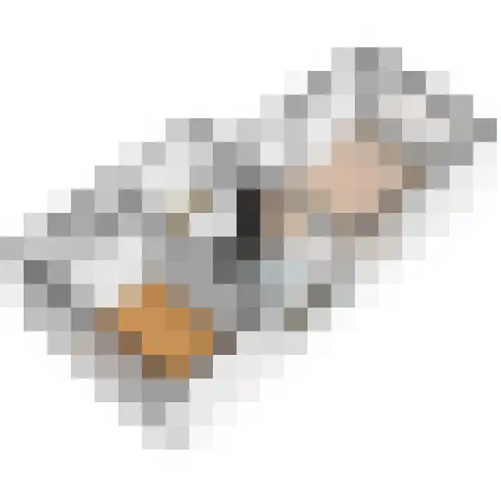 Brinnolaan 5 Voorburg thumbnail 35