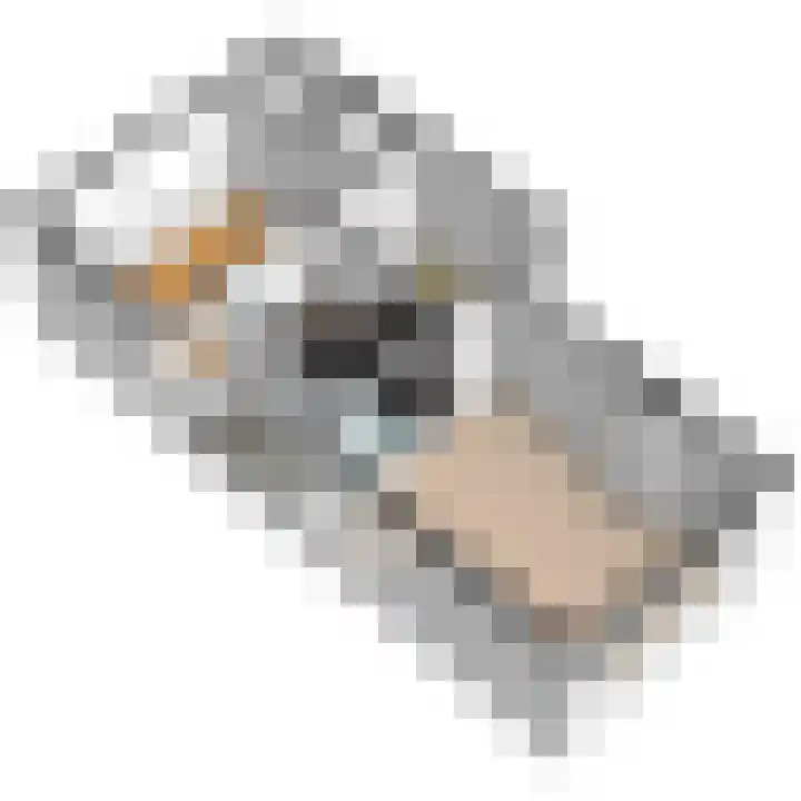 Brinnolaan 5 Voorburg thumbnail 36