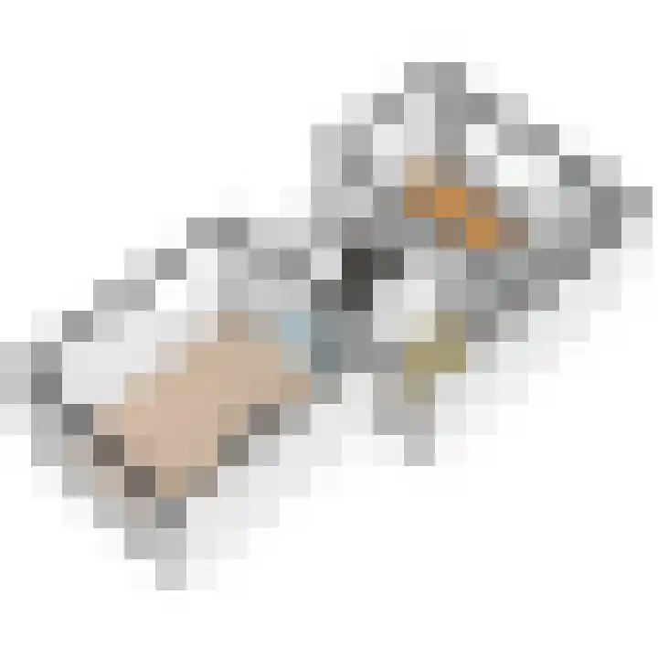 Brinnolaan 5 Voorburg thumbnail 37