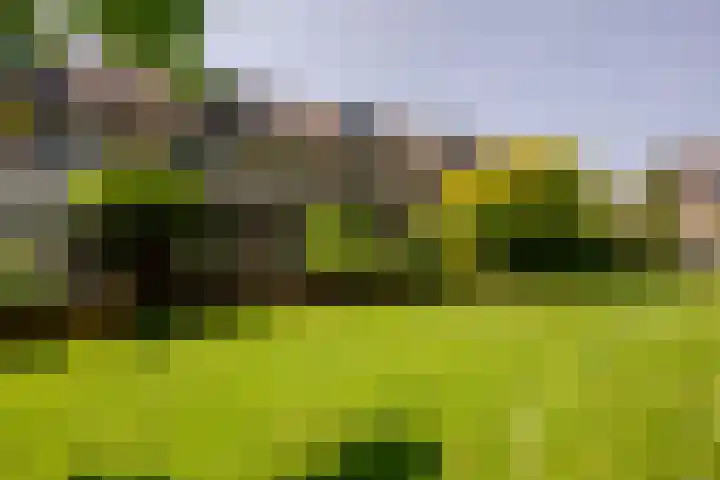 Bristolroodstraat 134 Zaandam thumbnail 47