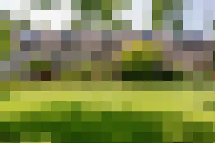 Bristolroodstraat 134 Zaandam thumbnail 5