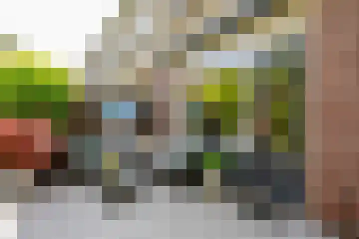 Bristolroodstraat 134 Zaandam thumbnail 53