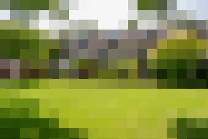 Bristolroodstraat 134 Zaandam thumbnail 56