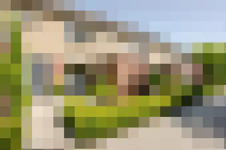 Bristolroodstraat 134 Zaandam thumbnail 6