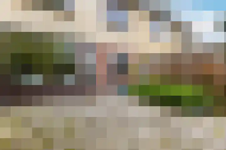 Bristolroodstraat 136 Zaandam thumbnail 19