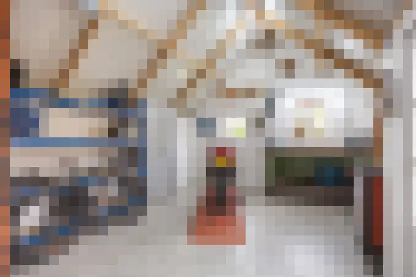 Brits 3 Oosterbierum thumbnail 34