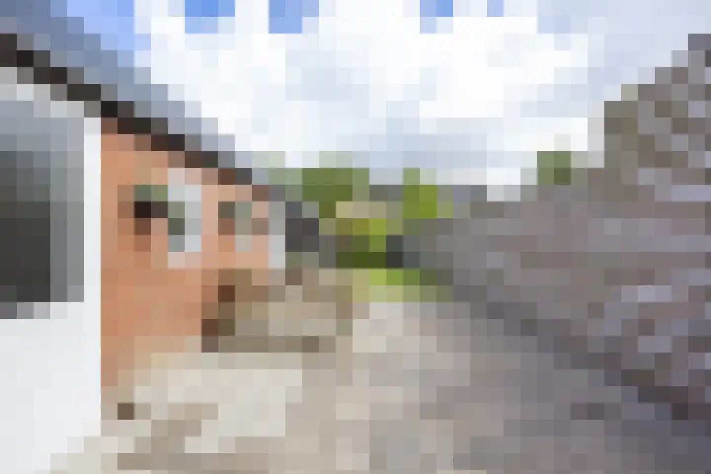 Brits 3 Oosterbierum thumbnail 36