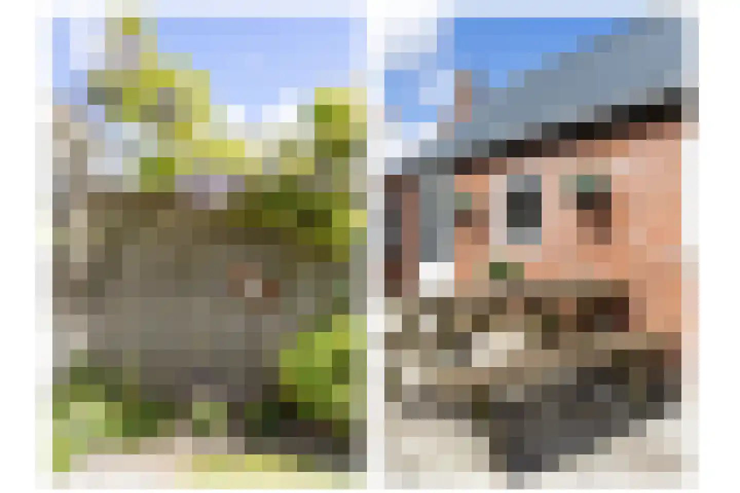 Brits 3 Oosterbierum thumbnail 39