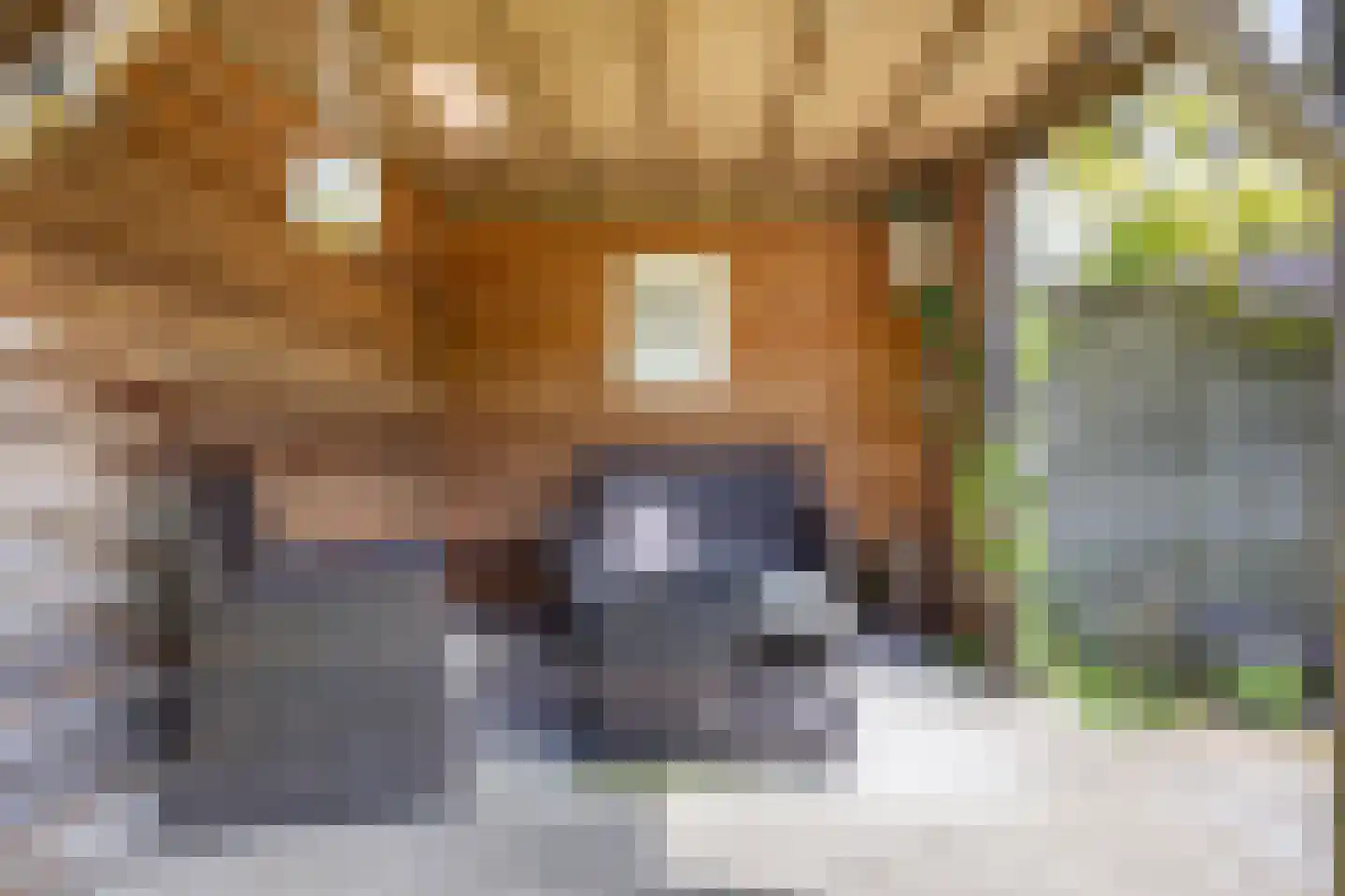 Brits 3 Oosterbierum thumbnail 44