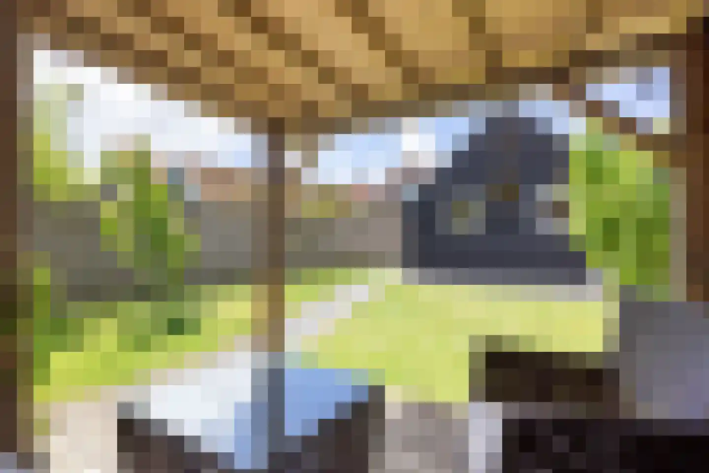 Brits 3 Oosterbierum thumbnail 45