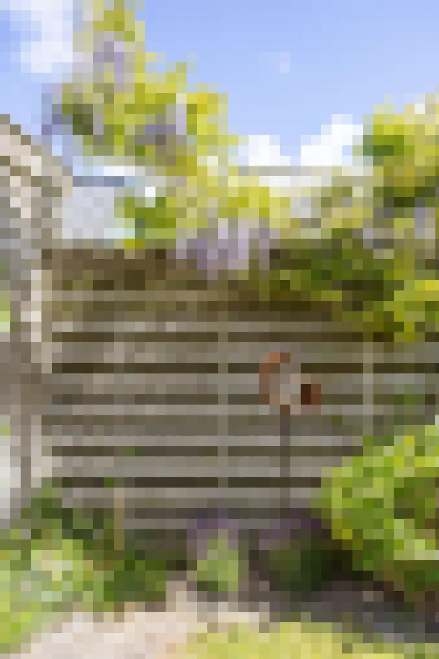 Brits 3 Oosterbierum thumbnail 61