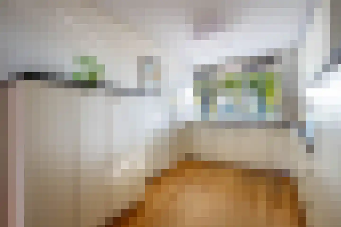 Britsezoom 46 Nieuwerkerk aan den IJssel thumbnail 18