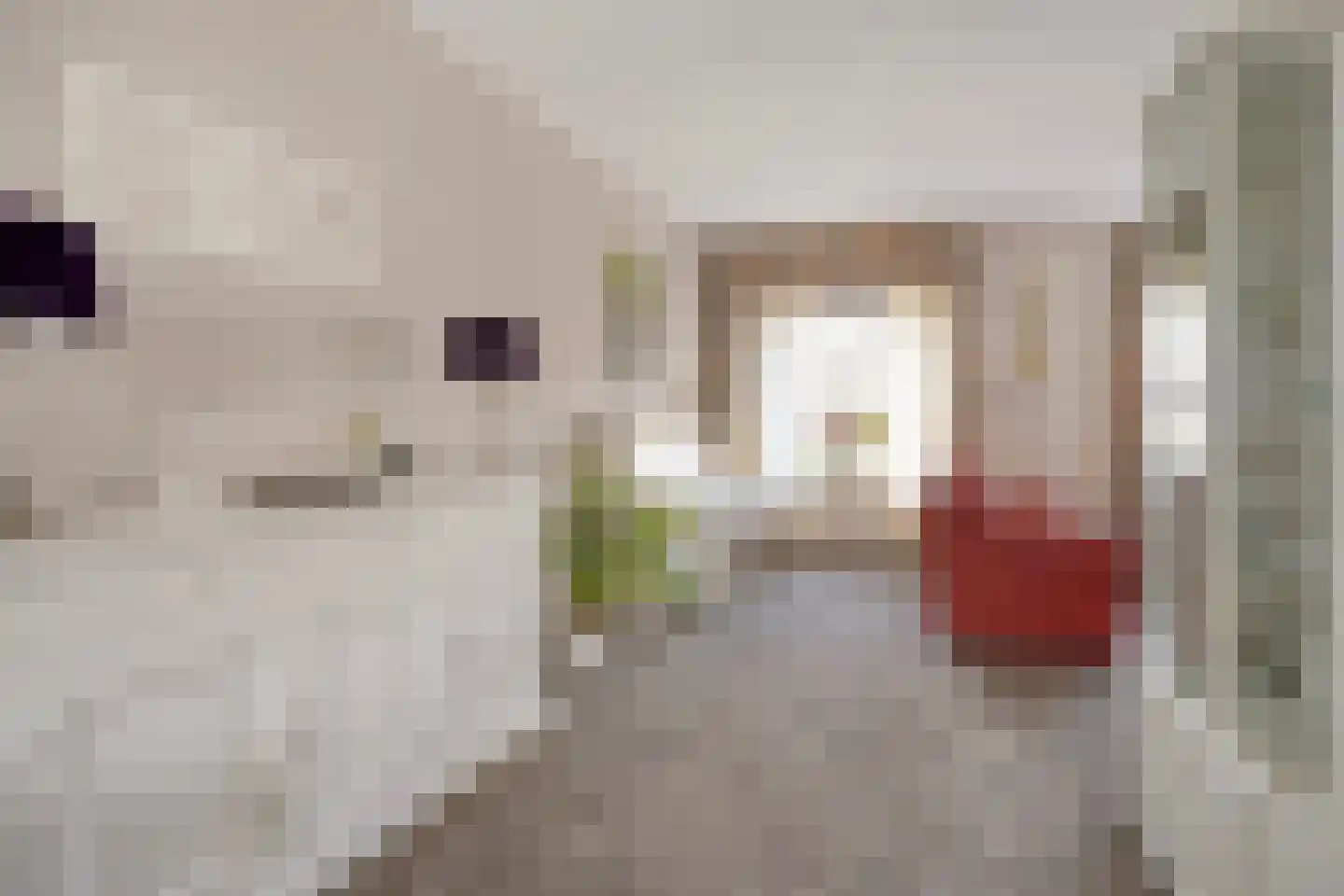 Brittanjesingel 39 Zetten thumbnail 11