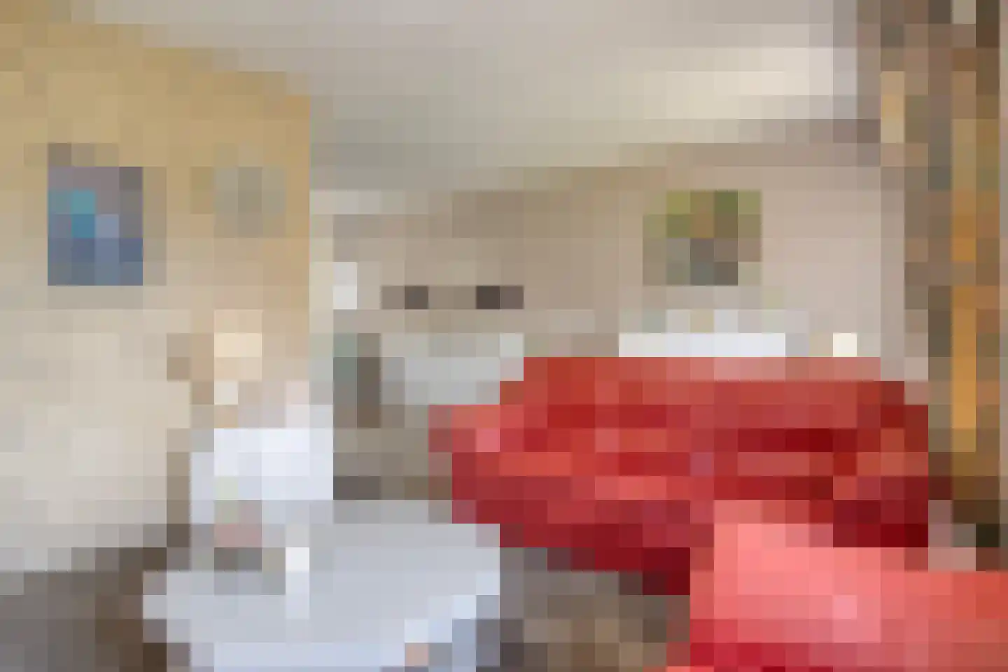 Brittanjesingel 39 Zetten thumbnail 13