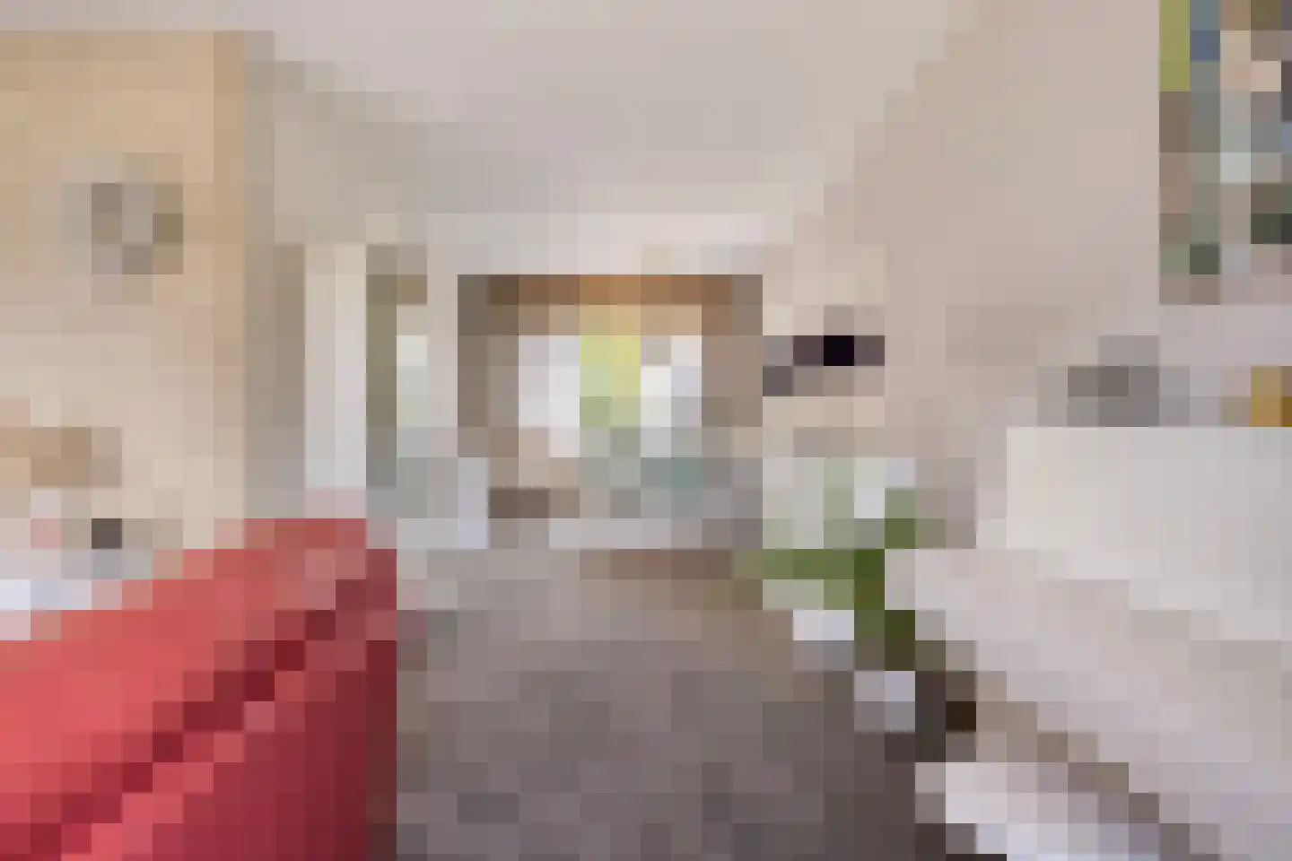 Brittanjesingel 39 Zetten thumbnail 14