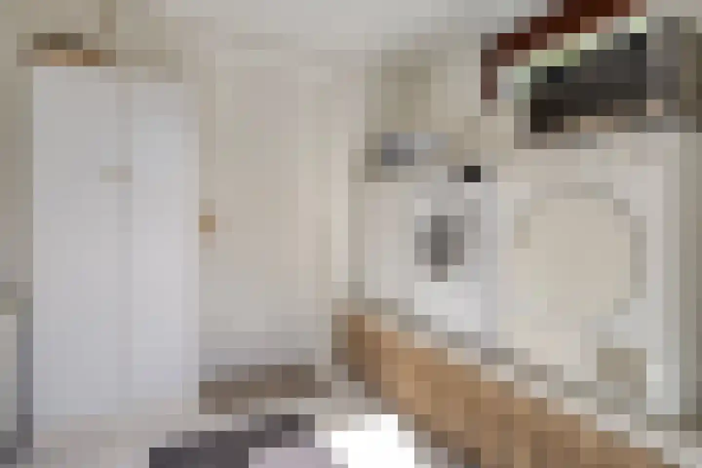 Brittanjesingel 39 Zetten thumbnail 18