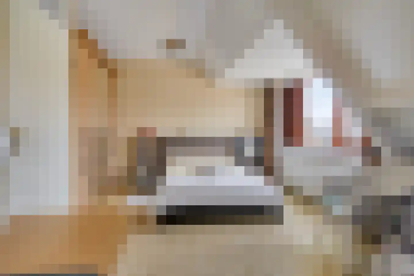 Brittanjesingel 39 Zetten thumbnail 23