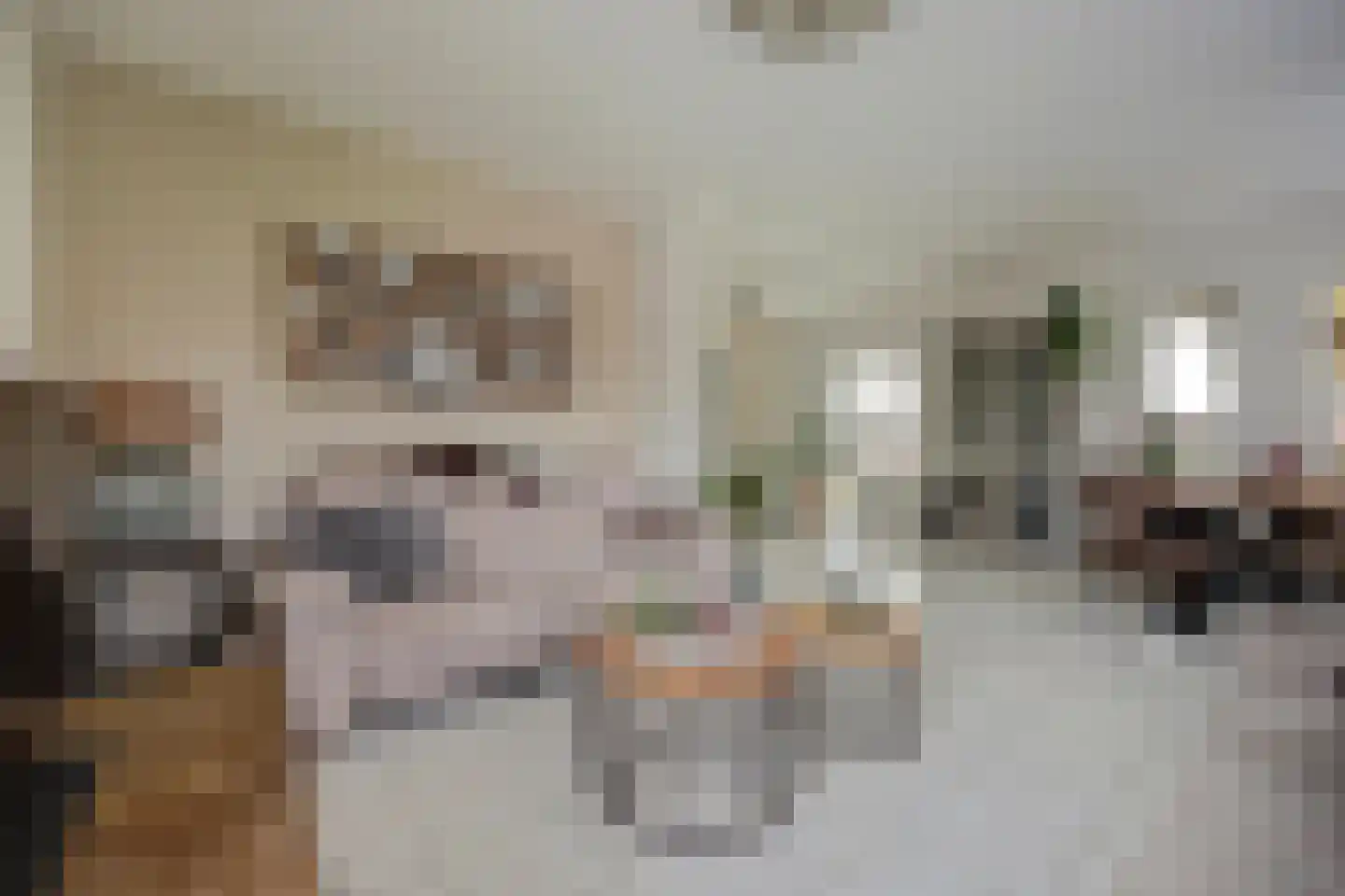 Brittanjesingel 45 Zetten thumbnail 10