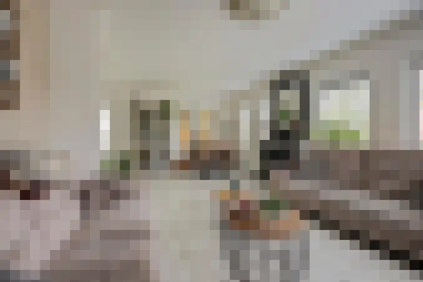 Brittanjesingel 45 Zetten thumbnail 11