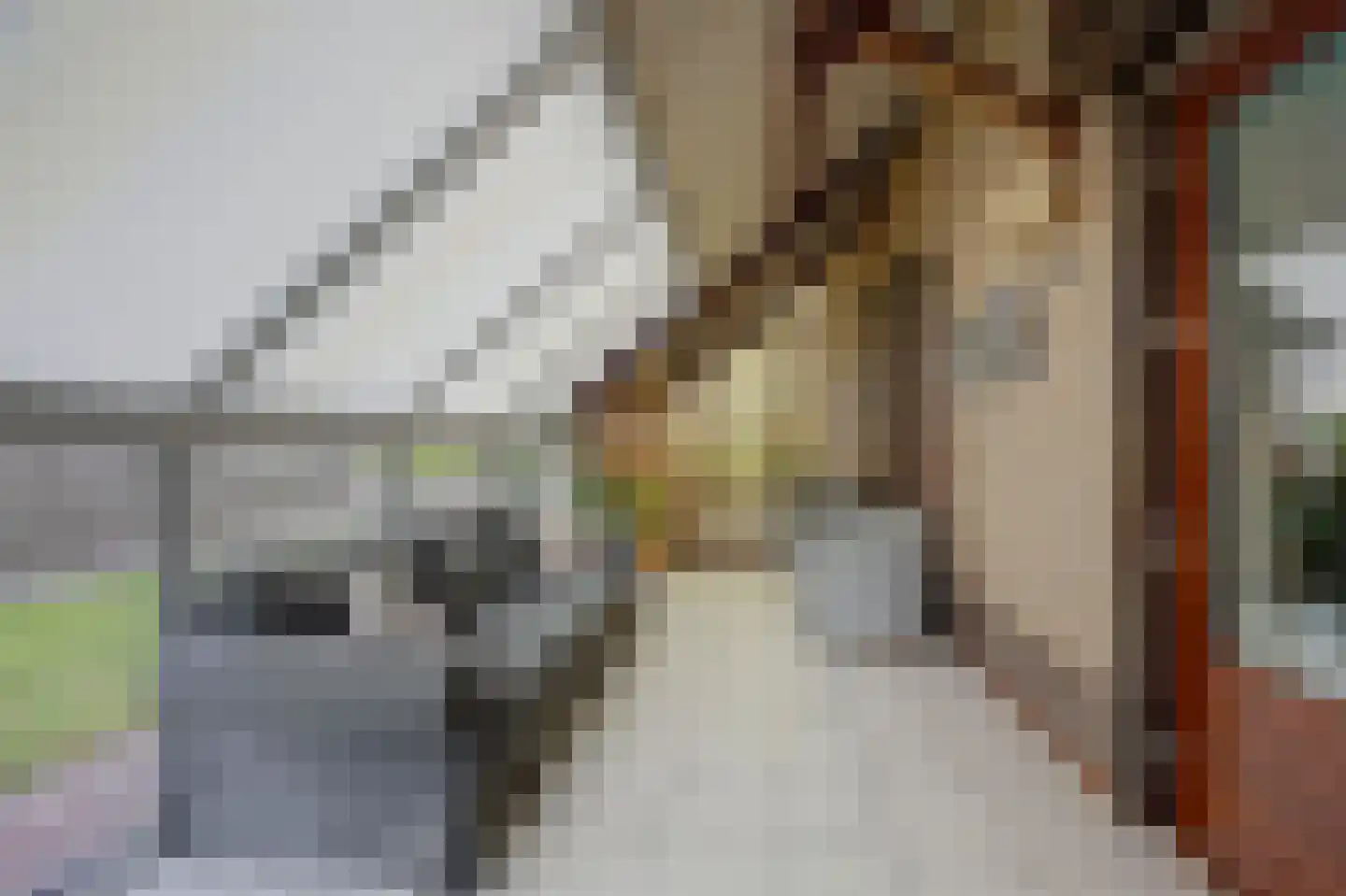 Brittanjesingel 45 Zetten thumbnail 13