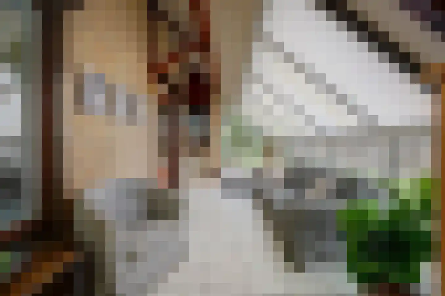 Brittanjesingel 45 Zetten thumbnail 14