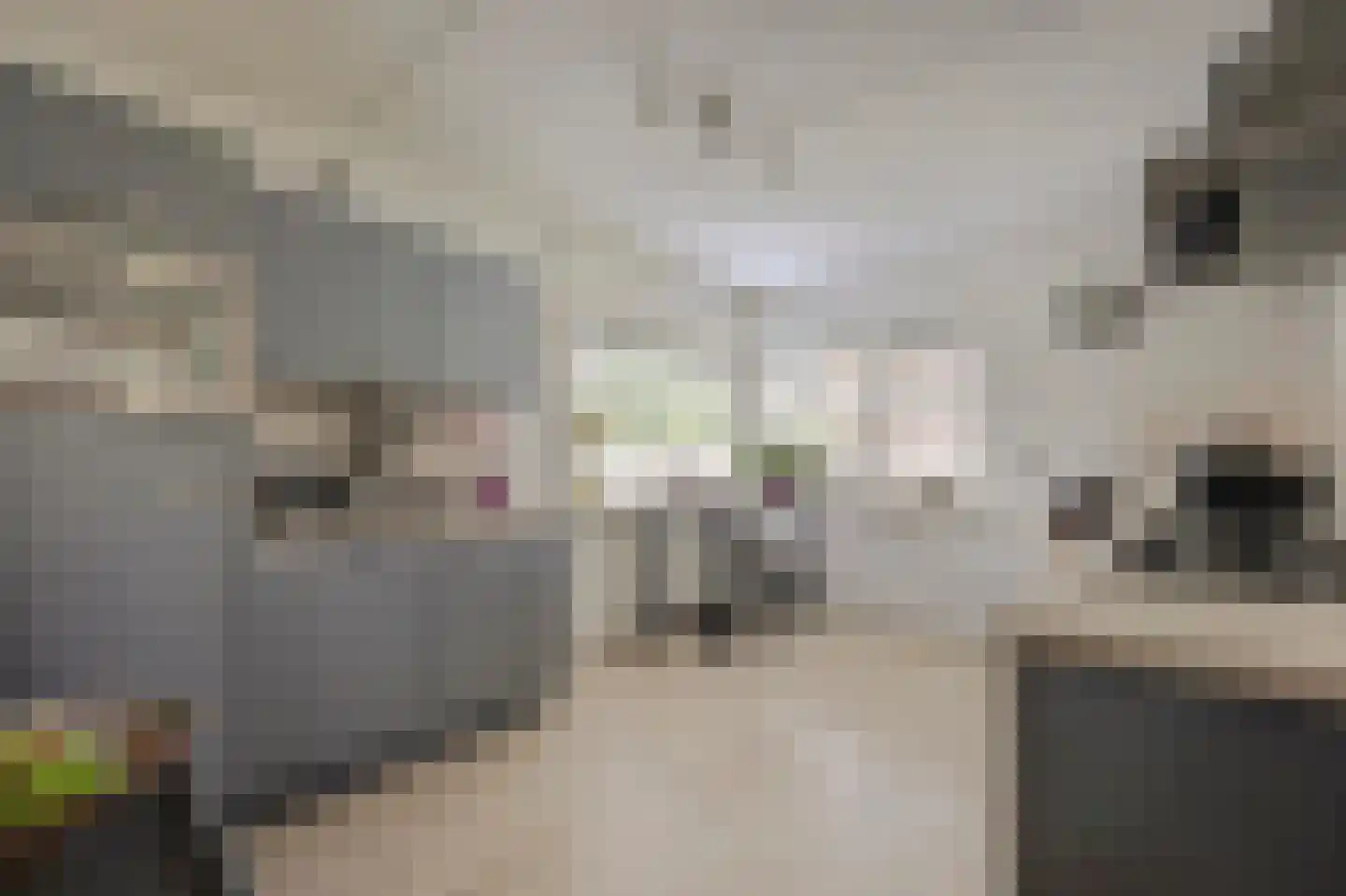 Brittanjesingel 45 Zetten thumbnail 15