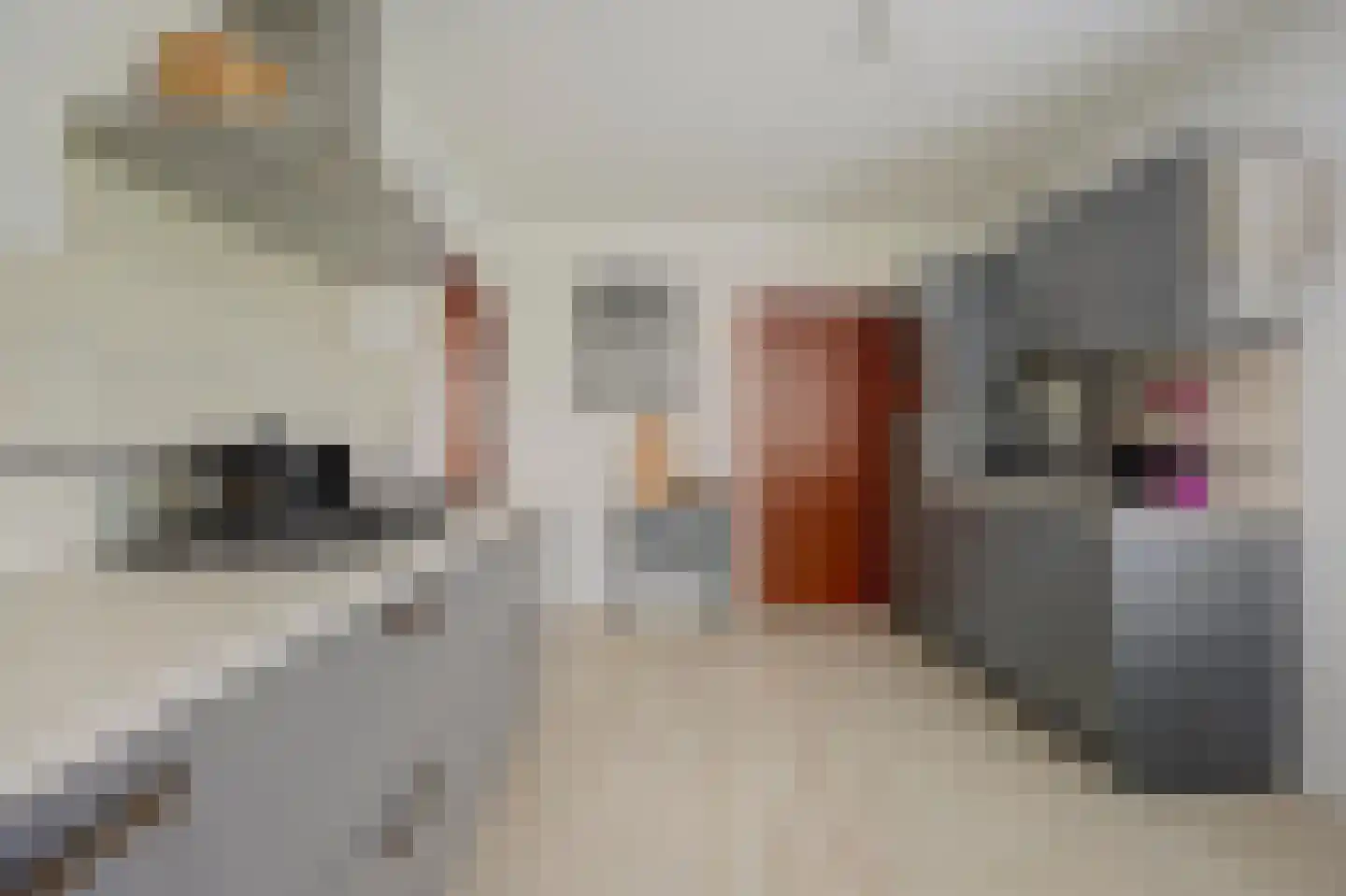 Brittanjesingel 45 Zetten thumbnail 16