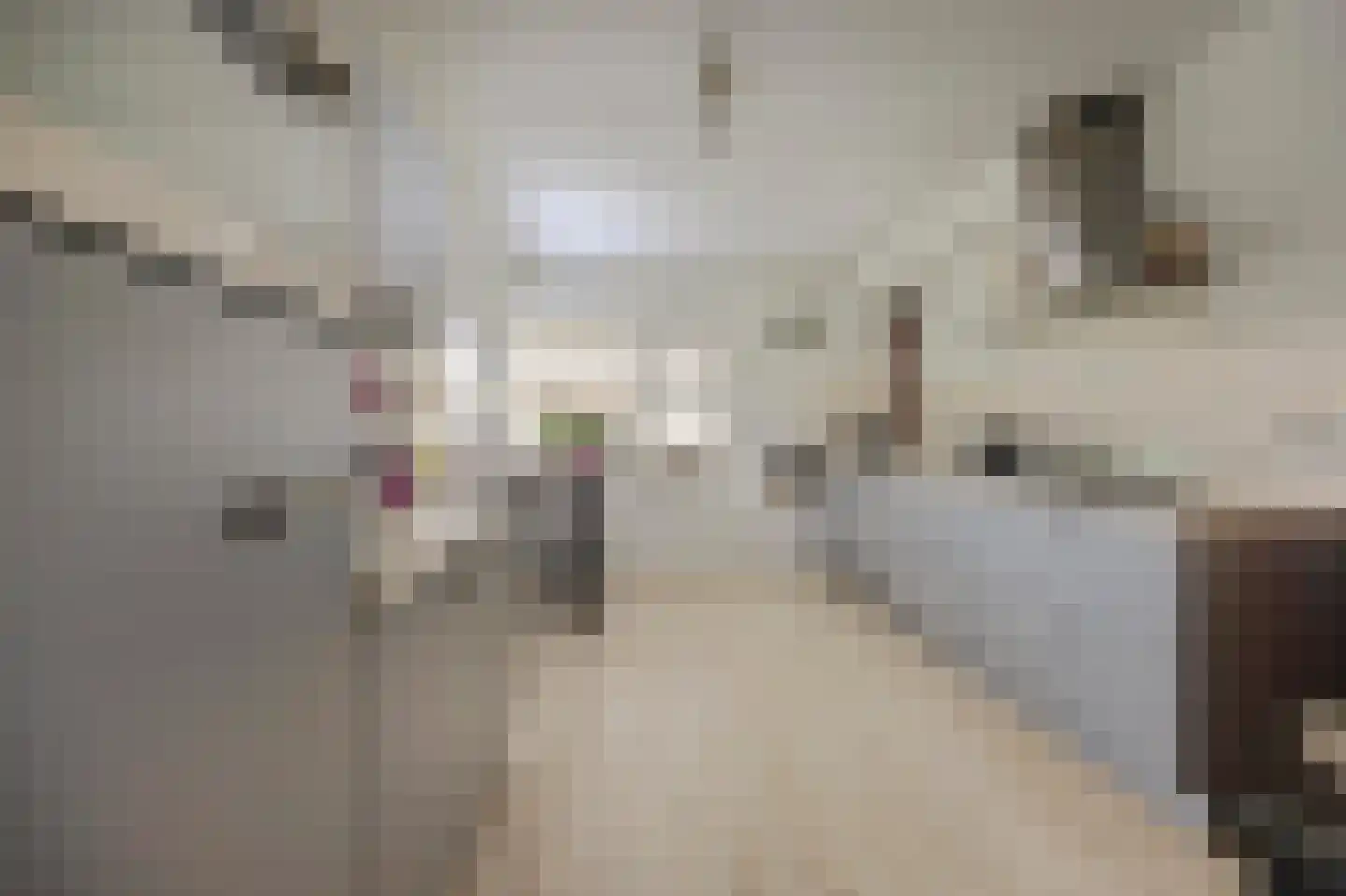 Brittanjesingel 45 Zetten thumbnail 17