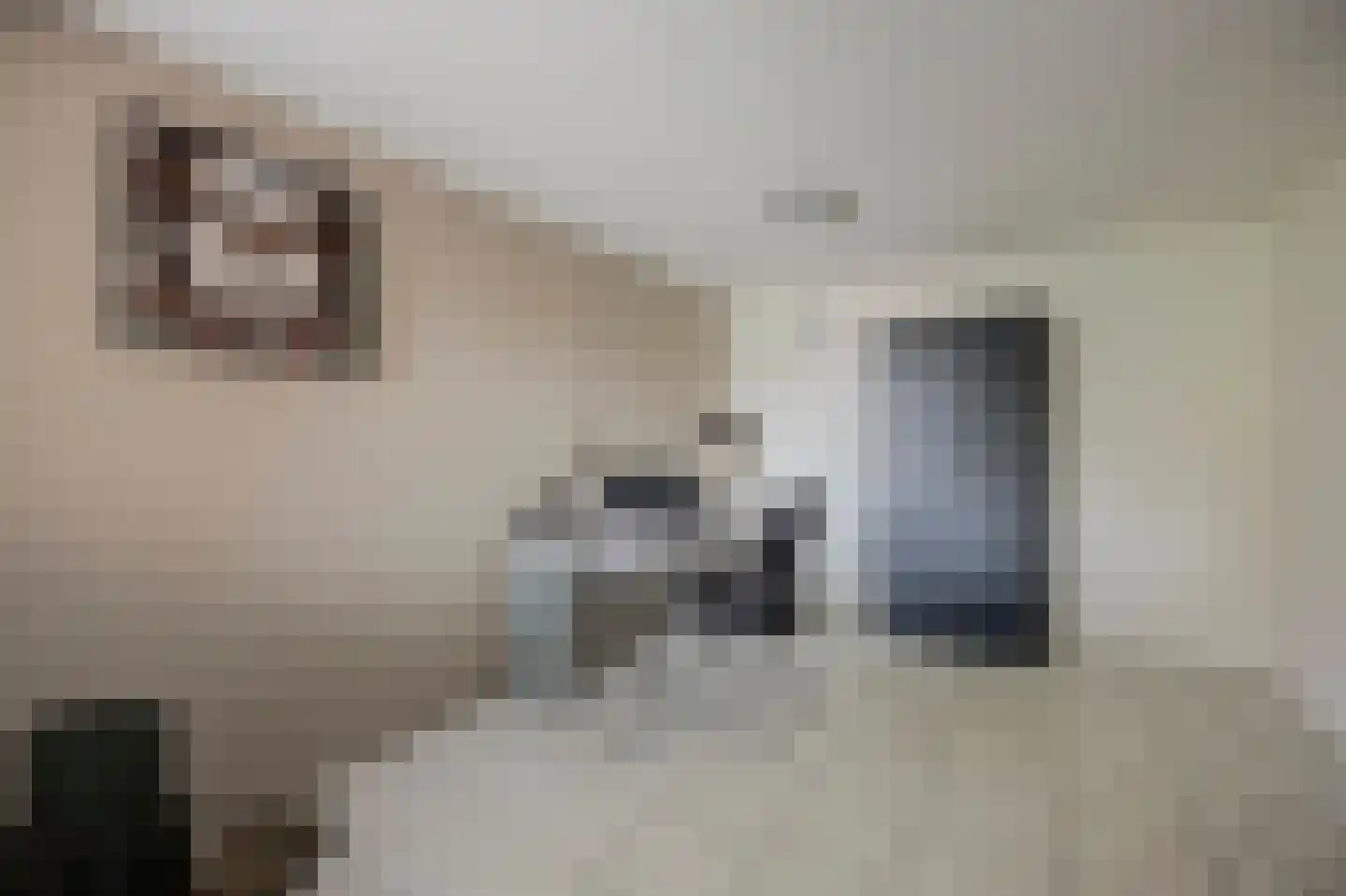 Brittanjesingel 45 Zetten thumbnail 20